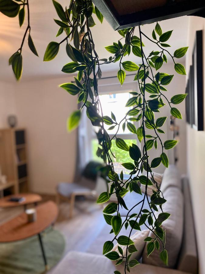 Dijon - Appartement Darcy / Gare Dış mekan fotoğraf